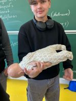 img-20250418-wa0010