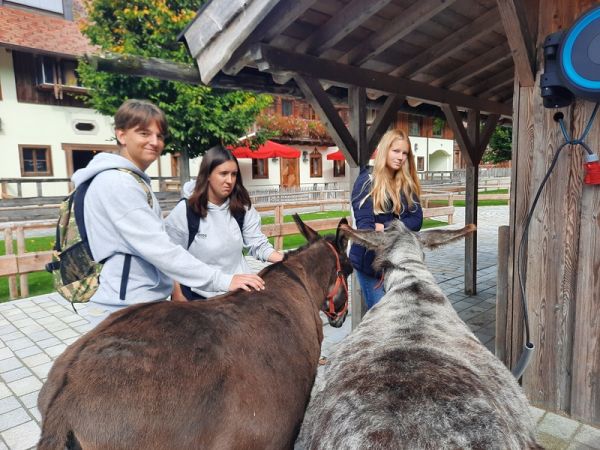 tierpfleger_pferdewirt___gut_aiderbichl_1
