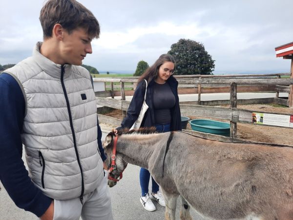 tierpfleger_pferdewirt___gut_aiderbichl_10