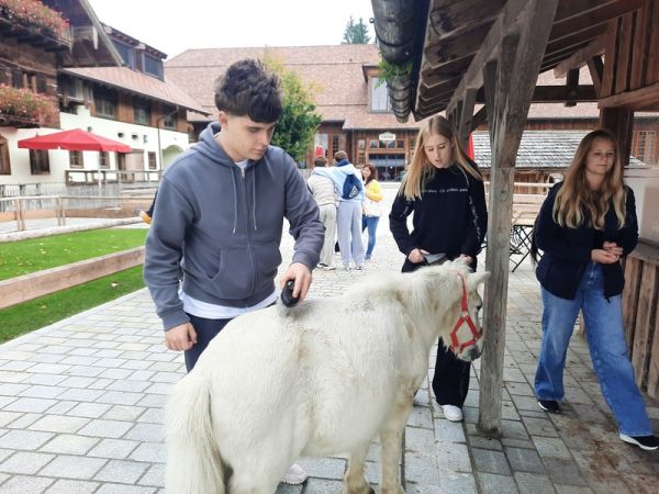 tierpfleger_pferdewirt___gut_aiderbichl_12
