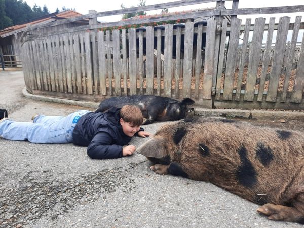 tierpfleger_pferdewirt___gut_aiderbichl_14