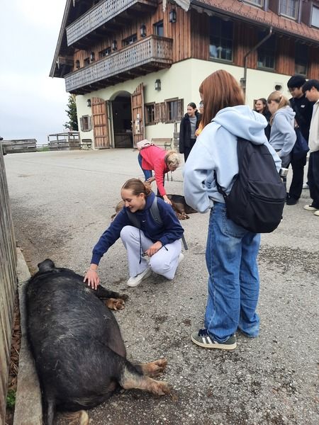 tierpfleger_pferdewirt___gut_aiderbichl_4