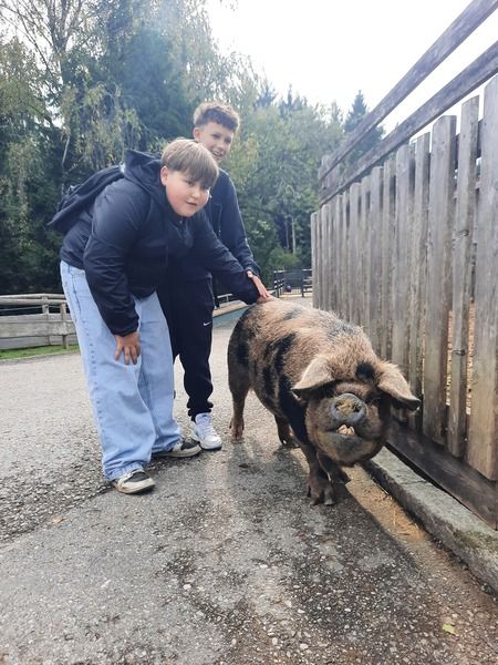 tierpfleger_pferdewirt___gut_aiderbichl_5