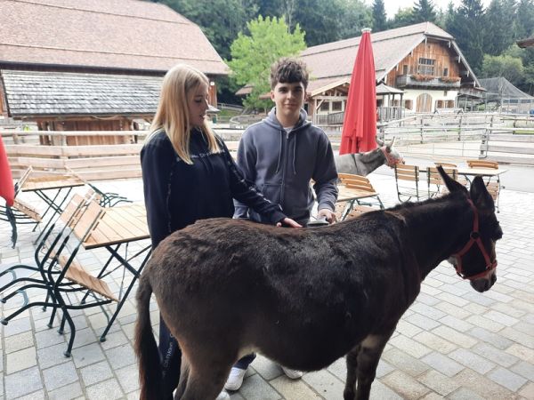 tierpfleger_pferdewirt___gut_aiderbichl_7
