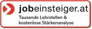 jobeinsteiger with explanation